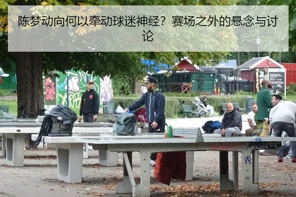 陈梦动向何以牵动球迷神经？赛场之外的悬念与讨论